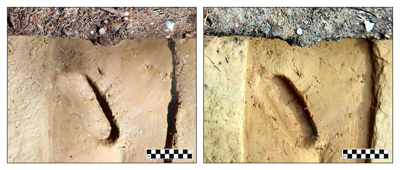 Footprint